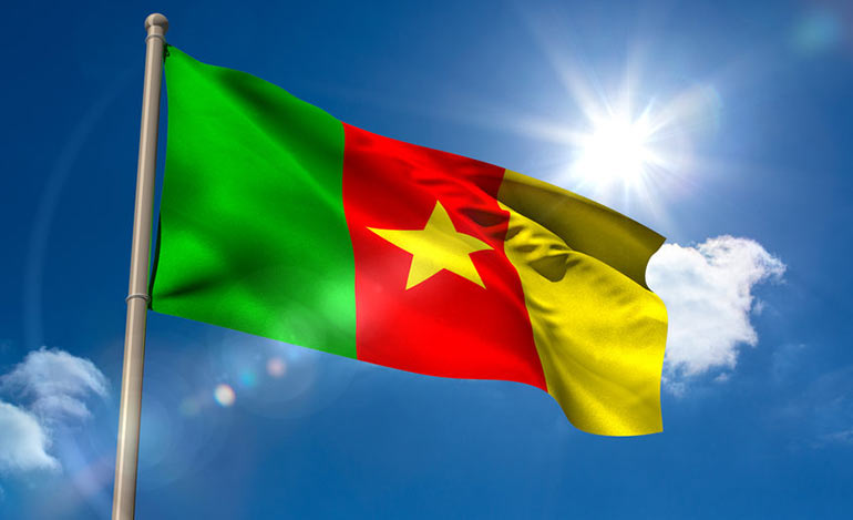 Cameroon ratifies Kigali Amendment