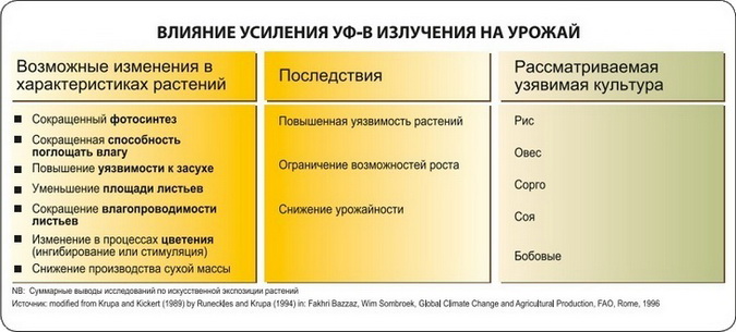 Влияние усиления УФ-В излучения на урожай