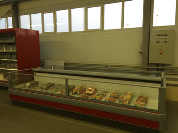 Workshop on organization of manufacture of CO2 refrigerating equipment and presentation of a working model of a CO2 refrigerating unit for a retail food store