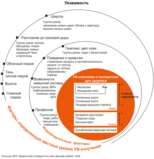 Опасность озоновых дыр. Уязвимость человека для солнечного ультрафиолета