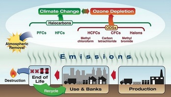 Component “Strategy for ODS Destruction and Creation of the Supporting Recovery Network”