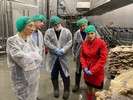 В Мурманске делятся опытом использования природных хладагентов в рыбохозяйственном секторе