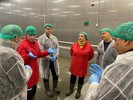 В Мурманске делятся опытом использования природных хладагентов в рыбохозяйственном секторе